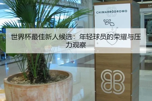 世界杯最佳新人候选：年轻球员的荣耀与压力观察